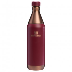Stanley The Holiday All Day Slim Bottle | 20 OZ Gilded Pomegranate | PYR587069