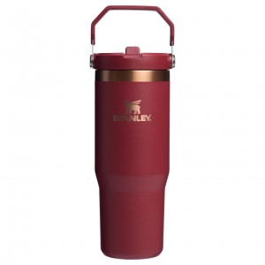 Stanley The Holiday IceFlow Flip Straw Tumbler | 30 OZ Gilded Pomegranate | OBR972548