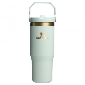 Stanley The Holiday IceFlow Flip Straw Tumbler | 30 OZ Gilded Celadon | CBO165234