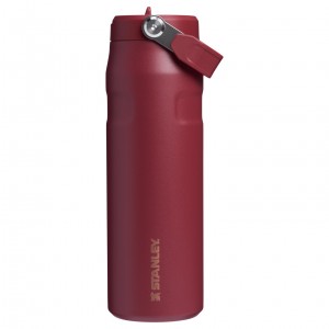 Stanley The Holiday IceFlow Water Bottle with Flip Straw Lid | 24 OZ Gilded Pomegranate | UOM546832