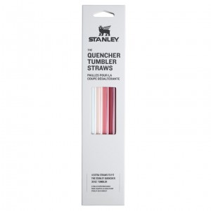 Stanley The Holiday Quencher Straws for Tumblers 4-Pack | 30 OZ | 4-Pack Holiday Multi Pack | 30 OZ | PGU809563