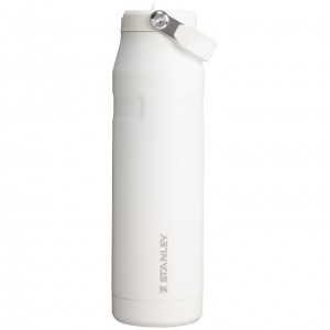 Stanley The IceFlow™ Bottle with Flip Straw Lid | 36 oz Frost | NVC486315