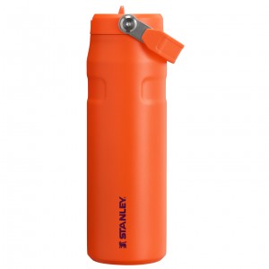 Stanley The IceFlow™ Bottle with Flip Straw Lid | 24 OZ Tigerlily Plum | KTF852903