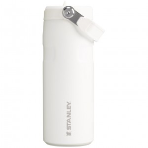 Stanley The IceFlow™ Bottle with Flip Straw Lid | 16 oz Frost | CGV024136