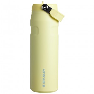 Stanley The IceFlow™ Bottle with Flip Straw Lid | 24 OZ Pomelo | MEQ970283
