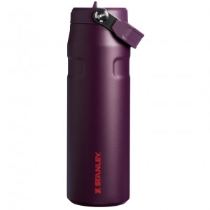 Stanley The IceFlow™ Bottle with Flip Straw Lid | 24 OZ Plum | ELQ510329