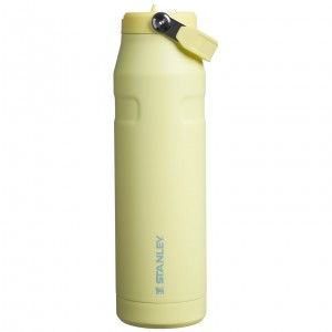 Stanley The IceFlow™ Bottle with Flip Straw Lid | 36 oz Pomelo | RSA319074