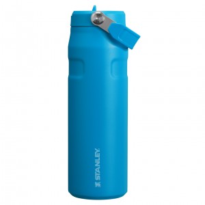 Stanley The IceFlow™ Bottle with Flip Straw Lid | 24 OZ Blankyt | ABV093175