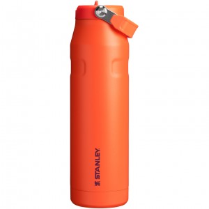 Stanley The IceFlow™ Bottle with Flip Straw Lid | 36 oz Tigerlily Plum | VDB024618