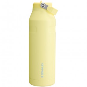 Stanley The IceFlow™ Bottle with Flip Straw Lid | 50 oz Pomelo | QJD176423