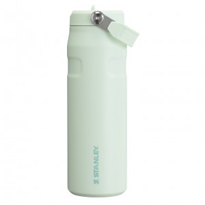 Stanley The IceFlow™ Bottle with Flip Straw Lid | 24 oz - Stanley Create Mist | QKZ058179