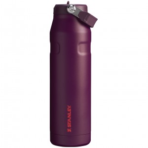 Stanley The IceFlow™ Bottle with Flip Straw Lid | 36 oz Plum | RHL974563