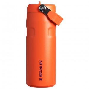 Stanley The IceFlow™ Bottle with Flip Straw Lid | 16 oz Tigerlily Plum | MWK164327