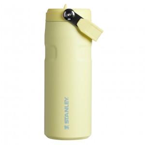 Stanley The IceFlow™ Bottle with Flip Straw Lid | 16 oz Pomelo | QNM567841