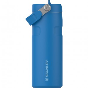 Stanley The IceFlow™ Bottle with Flip Straw Lid | 16 oz Blankyt | RWN817069