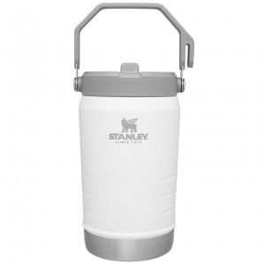 Stanley The IceFlow Flip Straw Jug | 40 OZ | Insulated Water Jug Polar | KDV380164