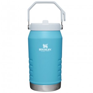 Stanley The IceFlow Flip Straw Jug | 64 OZ | Insulated Water Jug Pool | GYC247563