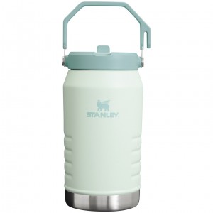 Stanley The IceFlow Flip Straw Jug | 64 OZ | Insulated Water Jug Mist | YOX538196