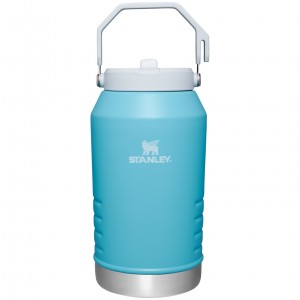 Stanley The IceFlow Flip Straw Jug | 96 OZ | Insulated Water Jug Pool | WVE798243