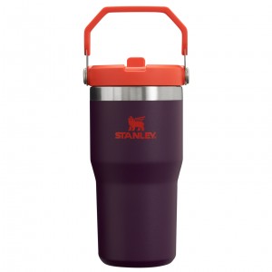 Stanley The IceFlow Flip Straw Tumbler | 20 OZ | Insulated Vody Bottle Plum | QPF412369