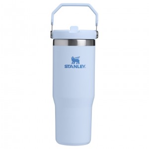 Stanley The IceFlow Flip Straw Tumbler | 30 OZ | Insulated Water Glacier | KWJ927560
