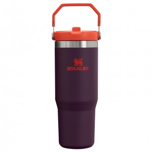Stanley The IceFlow Flip Straw Tumbler | 30 OZ | Insulated Water Plum | RAC197802