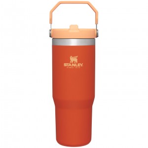 Stanley The IceFlow Flip Straw Tumbler | 30 OZ | Insulated Water Tigerlily | UBR894617