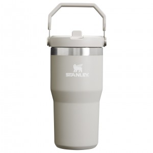 Stanley The IceFlow Flip Straw Tumbler | 20 OZ | Insulated Vody Bottle Ash | EMN792631