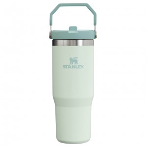 Stanley The IceFlow Flip Straw Tumbler | 30 OZ | Insulated Water Mist | BQF183260