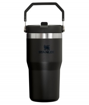 Stanley The IceFlow Flip Straw Tumbler | 20 OZ | Insulated Water Tumbler | Sta Černé | FRZ901584