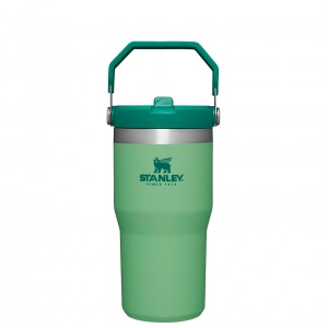 Stanley The IceFlow Flip Straw Tumbler | 20 OZ | Insulated Vody Bottle Jade | YLK683091