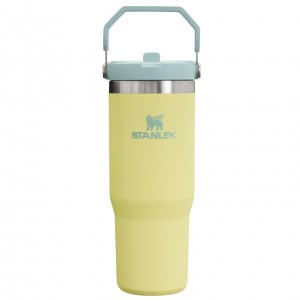 Stanley The IceFlow Flip Straw Tumbler | 30 OZ | Insulated Water Pomelo | LWH752148