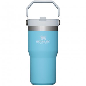 Stanley The IceFlow Flip Straw Tumbler | 20 OZ | Insulated Water Tumbler | Sta Pool | SPE621037