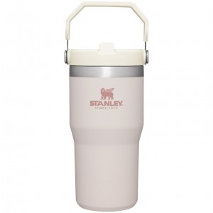 Stanley The IceFlow Flip Straw Tumbler | 20 OZ | Insulated Water Tumbler | Sta Růžové | PIN015628