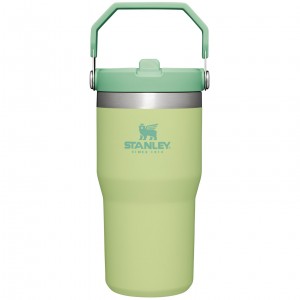 Stanley The IceFlow Flip Straw Tumbler | 20 OZ | Insulated Vody Bottle Citron | JYK170958