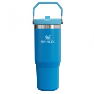 Stanley The IceFlow Flip Straw Tumbler | 30 OZ | Insulated Water Blankyt | SLC106352