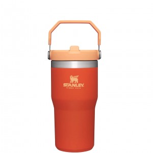 Stanley The IceFlow Flip Straw Tumbler | 20 OZ | Insulated Vody Bottle Tigerlily | UEW197284