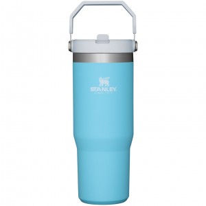 Stanley The IceFlow Flip Straw Tumbler | 30 OZ | Insulated Water Pool | OZX605379