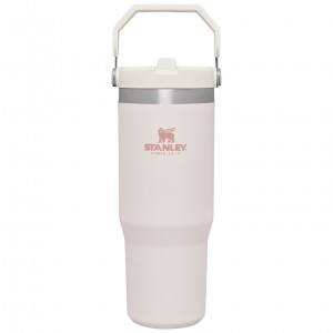 Stanley The IceFlow Flip Straw Tumbler | 30 OZ | Insulated Water Růžové | GIX215439