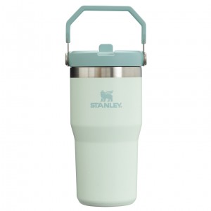 Stanley The IceFlow Flip Straw Tumbler | 20 OZ | Insulated Vody Bottle Mist | TJC046178