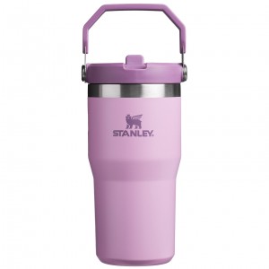 Stanley The IceFlow Flip Straw Tumbler | 20 OZ | Insulated Water Tumbler | Sta Lilac | WMX645738