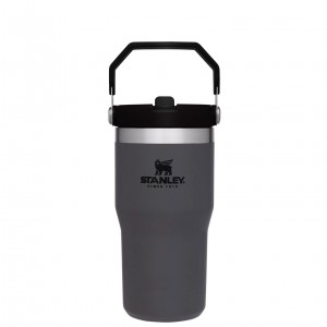Stanley The IceFlow Flip Straw Tumbler | 20 OZ | Insulated Water Tumbler | Sta Charcoal | BSV749513