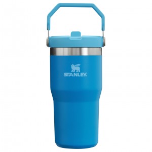 Stanley The IceFlow Flip Straw Tumbler | 20 OZ | Insulated Vody Bottle Blankyt | HIU806371