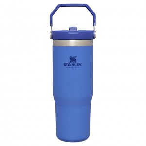 Stanley The IceFlow Flip Straw Tumbler | 30 OZ | Insulated Water Iris | YJP915603