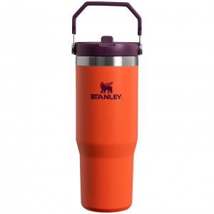 Stanley The IceFlow Flip Straw Tumbler | 30 OZ | Insulated Water Tigerlily Plum | HSA241803