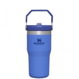 Stanley The IceFlow Flip Straw Tumbler | 20 OZ | Insulated Water Tumbler | Sta Iris | OQE850934