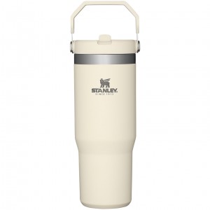 Stanley The IceFlow Flip Straw Tumbler | 30 OZ | Insulated Water Krém | VHB195208