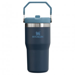 Stanley The IceFlow Flip Straw Tumbler | 20 OZ | Insulated Vody Bottle Tmavě Blankyt | BNH781035