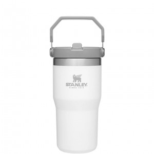 Stanley The IceFlow Flip Straw Tumbler | 20 OZ | Insulated Water Tumbler | Sta Polar | HEU637918