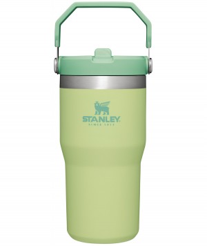 Stanley The IceFlow Flip Straw Tumbler | 20 OZ | Insulated Water Tumbler | Sta Citron | AUY612370